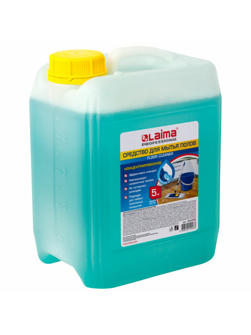 Средство для мытья пола 5 кг, LAIMA PROFESSIONAL концентрат, 