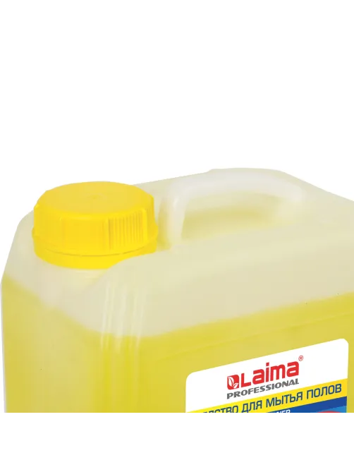 Средство для мытья пола 5 кг, LAIMA PROFESSIONAL концентрат, 