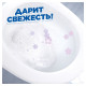 Средство для уборки туалета 900 мл, ТУАЛЕТНЫЙ УТЕНОК 