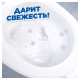 Средство для уборки туалета 500 мл, ТУАЛЕТНЫЙ УТЕНОК 