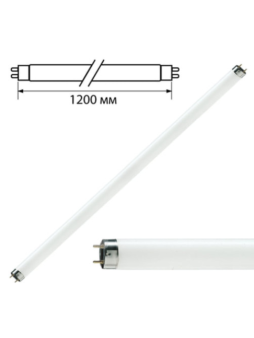 Лампа люминесцентная PHILIPS TL-D 36W/33-640, 36 Вт, цоколь G13, в виде трубки 120 см