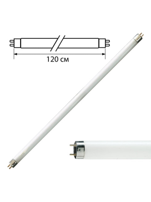 Лампа люминесцентная PHILIPS TL-D 36W/54-765, 36 Вт, цоколь G13, в виде трубки 120 см, холодный дневной свет, 815849