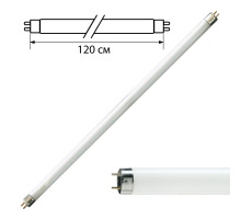 Лампа люминесцентная PHILIPS TL-D 36W/54-765, 36 Вт, цоколь G13, в виде трубки 120 см, холодный дневной свет, 815849
