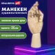 Манекен художественный BRAUBERG ART CLASSIC 