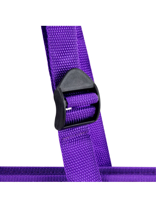 Папка для рисунков и чертежей с регулируемыми ручками BRAUBERG KIDS А3, 1 отделение, карман внутри, 