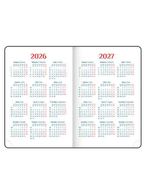 Ежедневник датированный 2026 А5 148х218 мм, GALANT 
