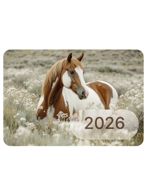 Календарь карманный на 2026 г, BRAUBERG, 64х93 мм, АССОРТИ №1, 20 видов, 117303