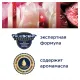 Освежитель воздуха автоматический, 269 мл, GLADE, диспенсер+сменный баллон, 