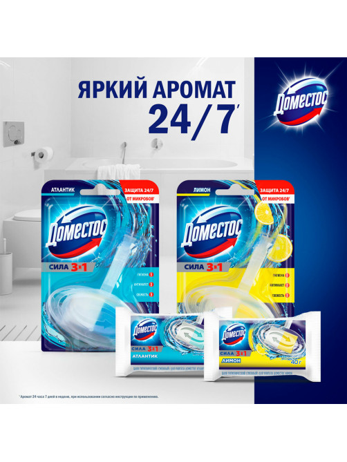 Блок туалетный подвесной твердый 40 г ДОМЕСТОС 