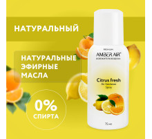 Сменный баллон аэрозольный 75 мл (аналог TORK, Система А1) AMBER AIR 
