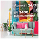 Сменный баллон 269 мл, GLADE 