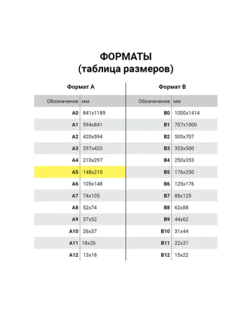 Карманы информационные самоклеящиеся PS-T, А5, горизонтальные, КОМПЛЕКТ 10 шт., ПЭТ, толщина 0,3 мм, 171882