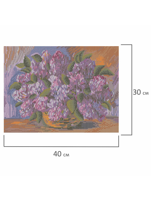 Картина стразами (алмазная мозаика) 30х40 см, ОСТРОВ СОКРОВИЩ 