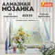 Картина стразами (алмазная мозаика) 40х50 см, ОСТРОВ СОКРОВИЩ 