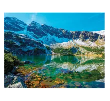 Картина стразами (алмазная мозаика) 40х50 см, ОСТРОВ СОКРОВИЩ 