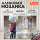 Картина стразами (алмазная мозаика) 40х50 см, ОСТРОВ СОКРОВИЩ 