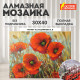 Картина стразами (алмазная мозаика) 30х40 см, ОСТРОВ СОКРОВИЩ 