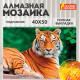 Картина стразами (алмазная мозаика) 40х50 см, ОСТРОВ СОКРОВИЩ 