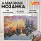 Картина стразами (алмазная мозаика) 40х50 см, ОСТРОВ СОКРОВИЩ 