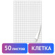 Блокнот для флипчарта ПЛОТНЫЙ 80 г/м2, BRAUBERG, 67,5х98 см, 50 листов, белый (КЛЕТКА), 128647