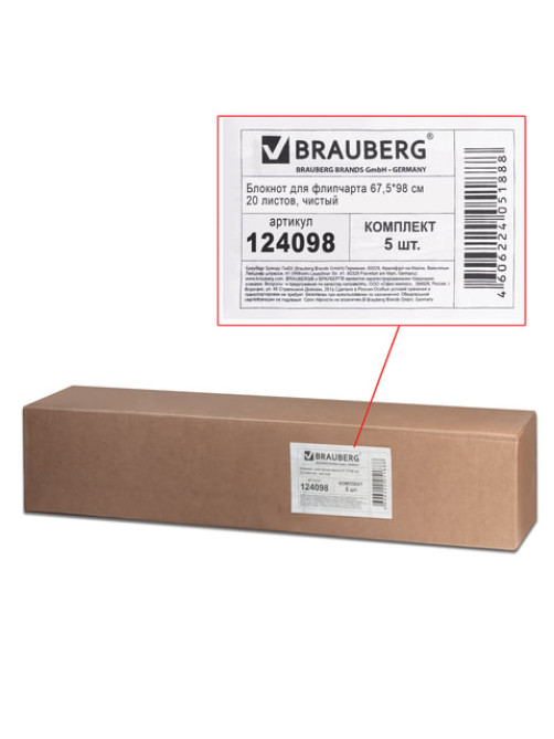 Блокноты для флипчарта ПЛОТНЫЕ 80 г/м2, BRAUBERG, 67,5х98 см, КОМПЛЕКТ 5 шт., 20 л., чистые, 124098
