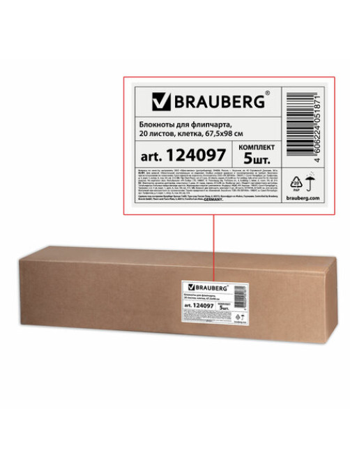 Блокноты для флипчарта ПЛОТНЫЕ 80 г/м2, BRAUBERG, 67,5х98 см, КОМПЛЕКТ 5 шт., 20 л., клетка, 124097