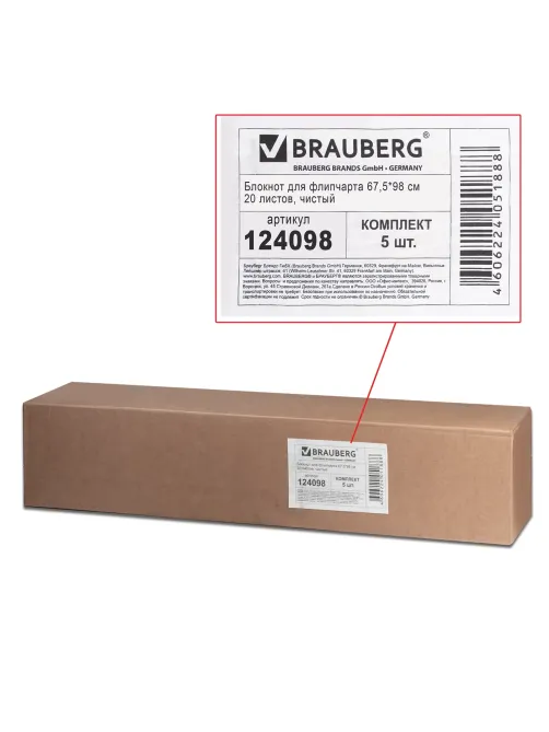 Блокноты для флипчарта ПЛОТНЫЕ 80 г/м2, BRAUBERG, 67,5х98 см, КОМПЛЕКТ 5 шт., 20 л., чистые, 124098