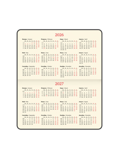 Еженедельник датированный 2026, МАЛЫЙ ФОРМАТ 95х155 мм, А6, BRAUBERG 