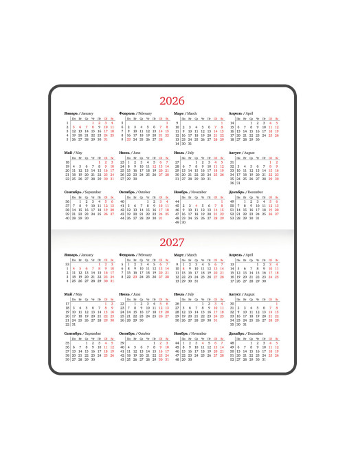 Еженедельник датированный 2026 МАЛЫЙ ФОРМАТ 95х155 мм, А6, BRAUBERG 