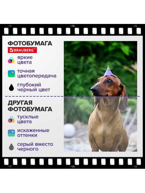 Фотобумага матовая, 10х15 см, 230 г/м2, односторонняя, 100 листов, ПАКЕТ, BRAUBERG ORIGINAL, 364423
