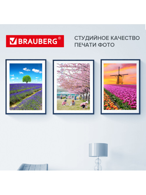 Фотобумага PREMIUM сатин, 10х15 см, 260 г/м2, односторонняя, 50 листов, BRAUBERG, 364001