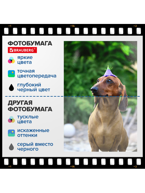Фотобумага глянцевая, 10х15 см, 180 г/м2, односторонняя, 100 листов, ПАКЕТ, BRAUBERG ORIGINAL, 364405