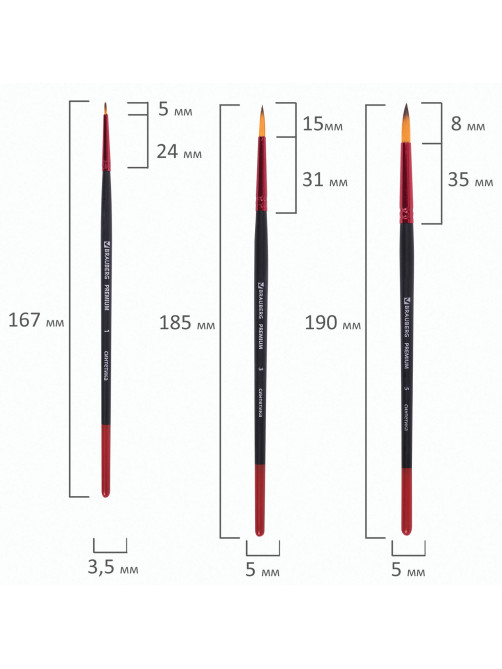 Кисти BRAUBERG PREMIUM, набор 5 шт. (синтетика, круглая № 1, 3, 5, плоская № 5, 8), блистер, 201024