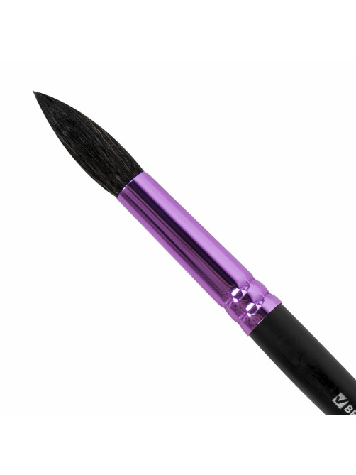 Кисть белка, круглая № 10, BRAUBERG PREMIUM, 200979