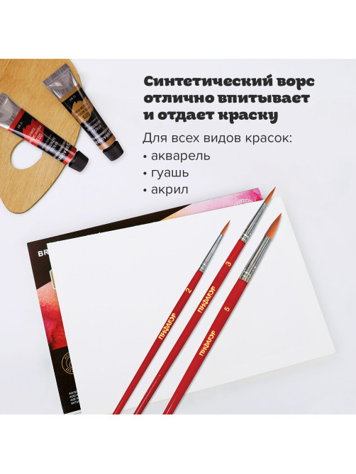 Кисти ПИФАГОР, набор 3 шт. (СИНТЕТИКА: круглые № 2, 3, 5), пакет с европодвесом, 200226