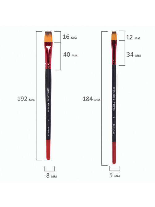 Кисти BRAUBERG PREMIUM, набор 10 шт. (синтетика, круглые № 1, 2, 3, 5, 8, плоские № 2, 4, 6, 8, 10), 201027