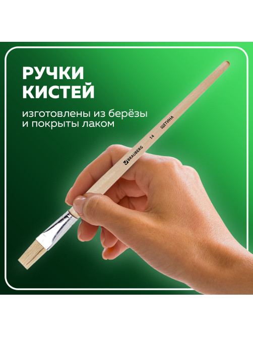 Кисти BRAUBERG, набор 3 шт. (щетина, плоские № 4, 8, 14), блистер, 200223