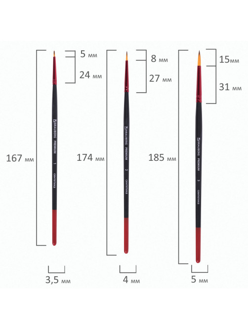 Кисти BRAUBERG PREMIUM, набор 5 шт. (синтетика, круглая № 1, 2, 3, 4, 5), блистер, 201025