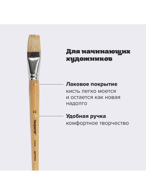 Кисть ПИФАГОР, ЩЕТИНА, плоская, № 22, деревянная лакированная ручка, пакет с подвесом, 200880