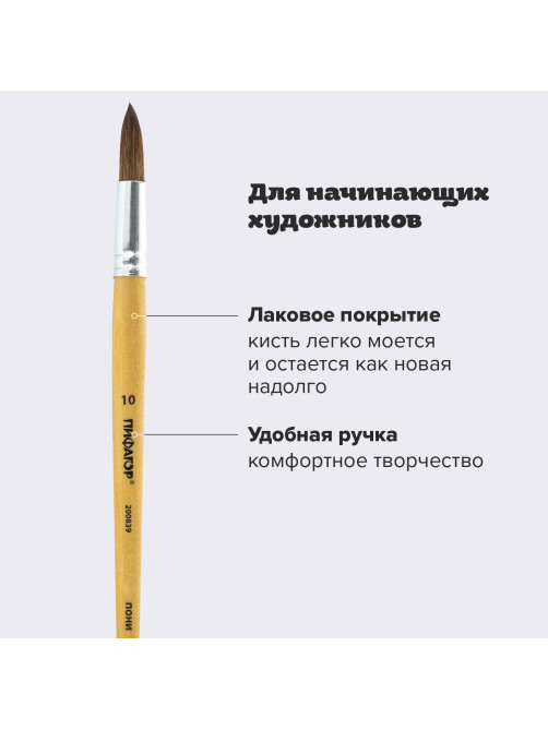 Кисть ПИФАГОР, ПОНИ, круглая, № 10, деревянная лакированная ручка, колпачок, пакет с подвесом, 200839