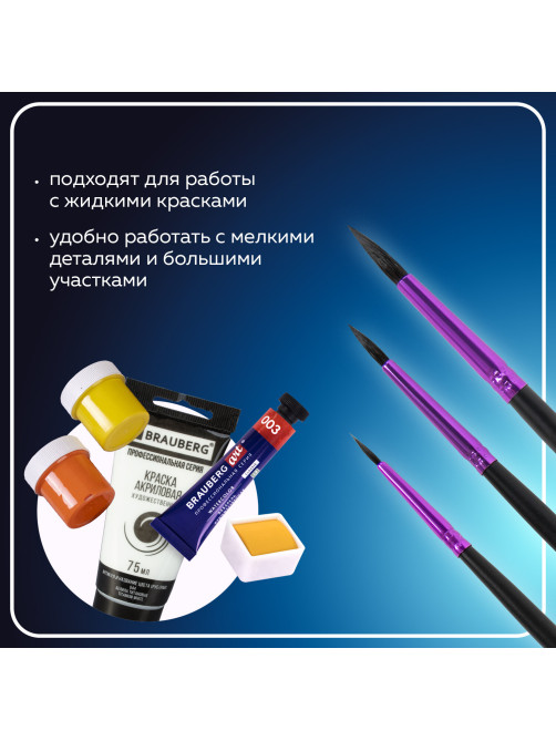 Кисти BRAUBERG PREMIUM, набор 3 шт. (беличьи круглые № 2, 3, 4), блистер, 201020