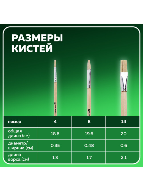 Кисти BRAUBERG, набор 3 шт. (щетина, плоские № 4, 8, 14), блистер, 200223