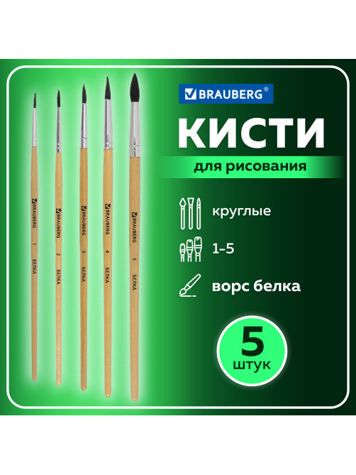 Кисти BRAUBERG, набор 5 шт. (белка, круглые № 1, 2, 3, 4, 5), блистер, 200217