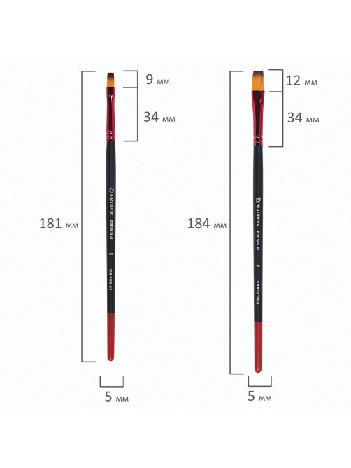 Кисти BRAUBERG PREMIUM, набор 5 шт. (синтетика, круглая № 1, 3, 5, плоская № 5, 8), блистер, 201024