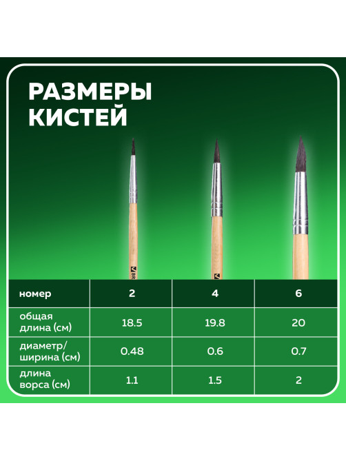 Кисти BRAUBERG, набор 3 шт. (белка, круглые № 2, 4, 6), блистер, 200216