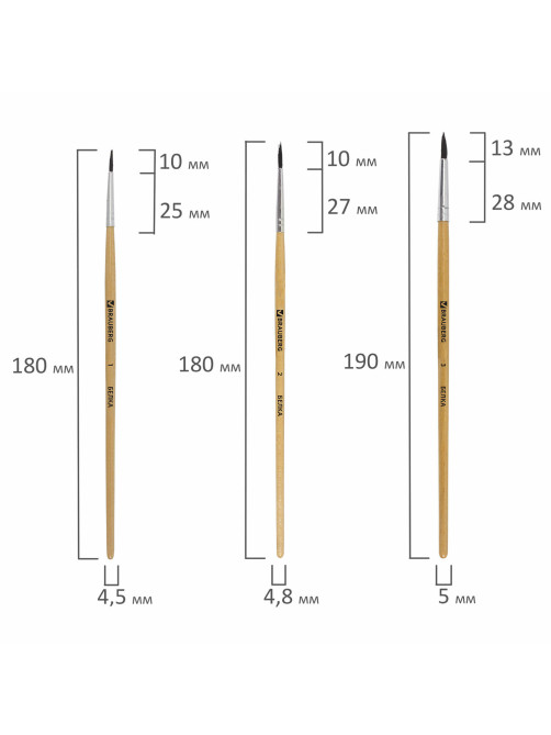 Кисти BRAUBERG, набор 5 шт. (белка, круглые № 1, 2, 3, 4, 5), блистер, 200217