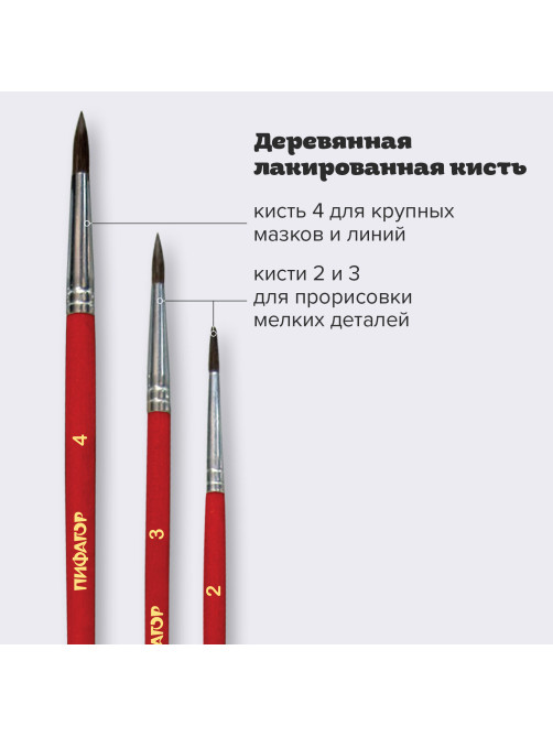 Кисти ПИФАГОР, набор 3 шт. (ПОНИ: круглые № 2, 3, 4), пакет с европодвесом, 200227