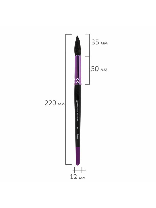 Кисть белка, круглая № 10, BRAUBERG PREMIUM, 200979