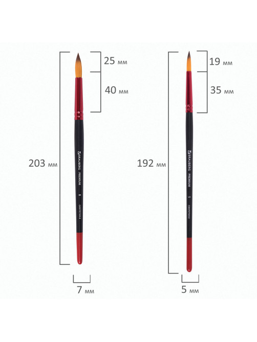 Кисти BRAUBERG PREMIUM, набор 10 шт. (синтетика, круглые № 1, 2, 3, 5, 8, плоские № 2, 4, 6, 8, 10), 201027