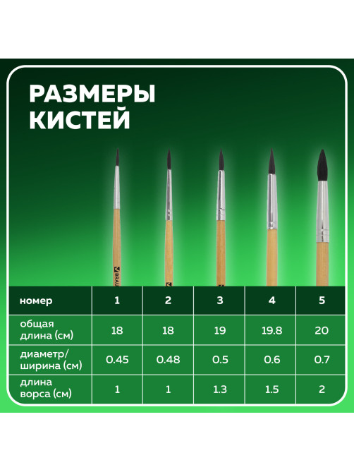 Кисти BRAUBERG, набор 5 шт. (белка, круглые № 1, 2, 3, 4, 5), блистер, 200217
